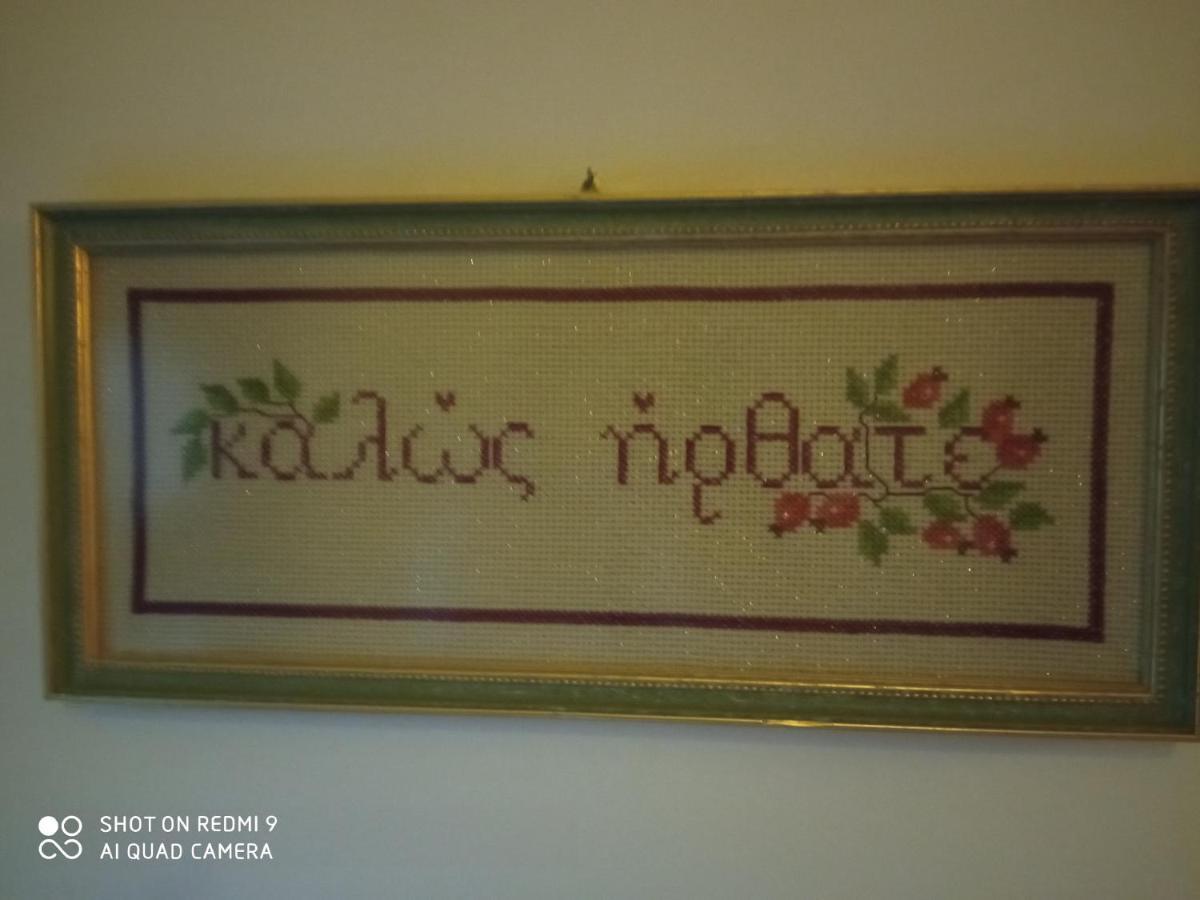 Valentini Guesthouse Karpenisi ภายนอก รูปภาพ