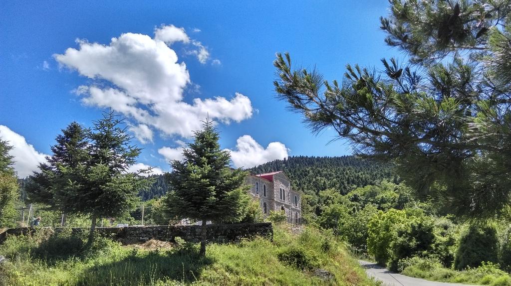 Valentini Guesthouse Karpenisi ภายนอก รูปภาพ