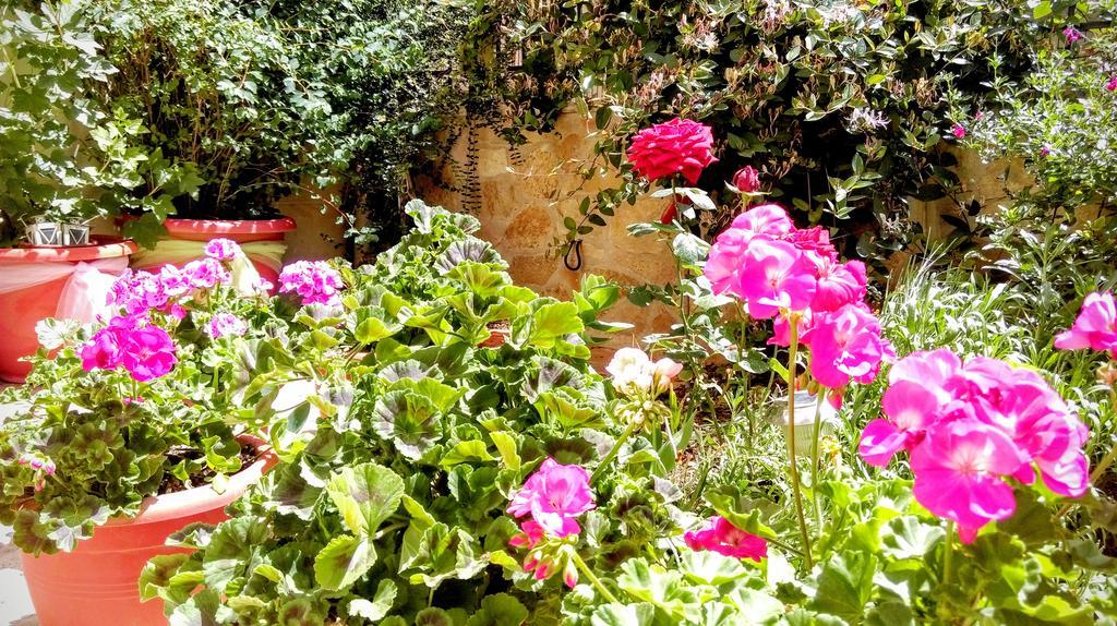 Valentini Guesthouse Karpenisi ภายนอก รูปภาพ
